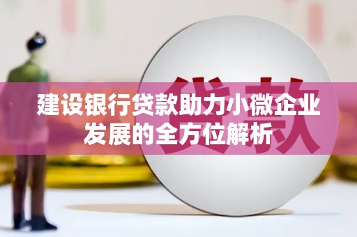 氹仔岛建设银行贷款助力小微企业发展的全方位解析