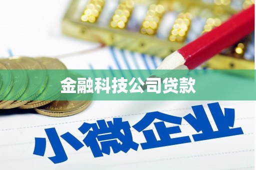 氹仔岛金融科技公司贷款