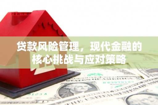 氹仔岛贷款风险管理，现代金融的核心挑战与应对策略