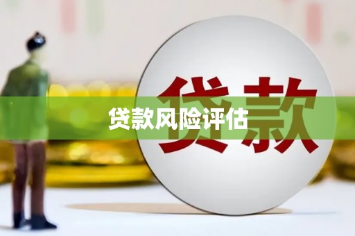氹仔岛贷款风险评估