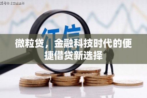 氹仔岛微粒贷，金融科技时代的便捷借贷新选择