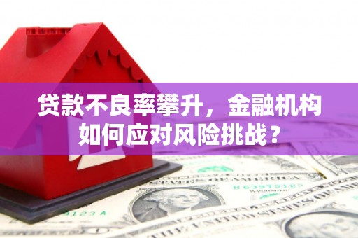 氹仔岛贷款不良率攀升，金融机构如何应对风险挑战？