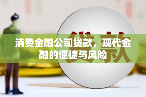 氹仔岛消费金融公司贷款，现代金融的便捷与风险