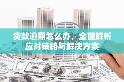 氹仔岛贷款逾期怎么办，全面解析应对策略与解决方案