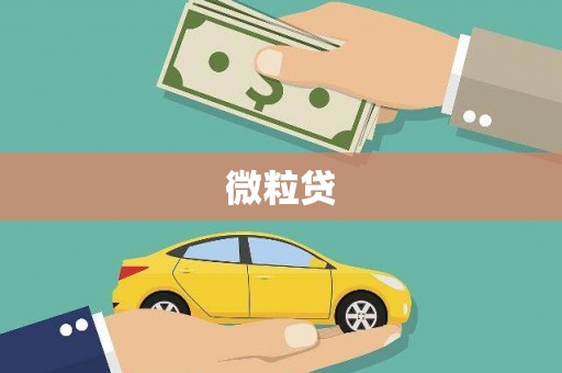 氹仔岛微粒贷