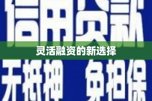 氹仔岛灵活融资的新选择