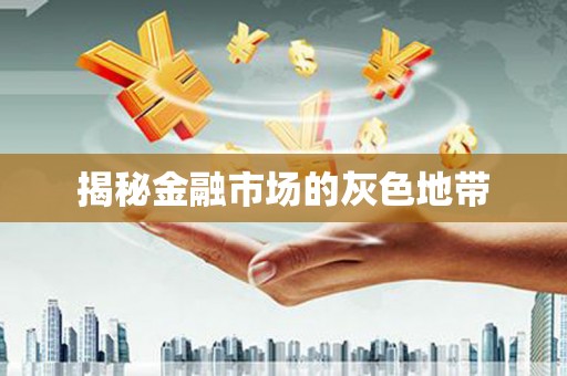 氹仔岛揭秘金融市场的灰色地带