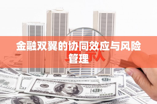 氹仔岛金融双翼的协同效应与风险管理