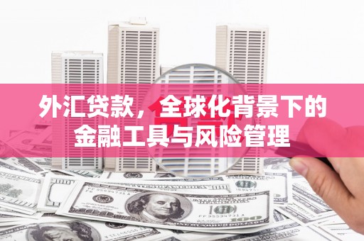 氹仔岛外汇贷款，全球化背景下的金融工具与风险管理