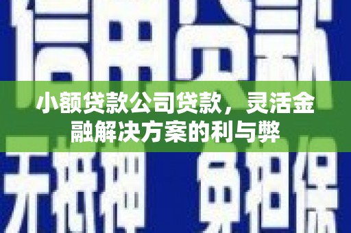 氹仔岛小额贷款公司贷款，灵活金融解决方案的利与弊